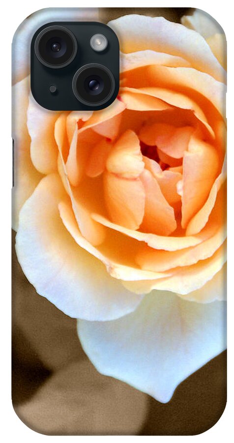 Flower iPhone Case featuring the photograph Smooth Angel Rose by Holly Kempe