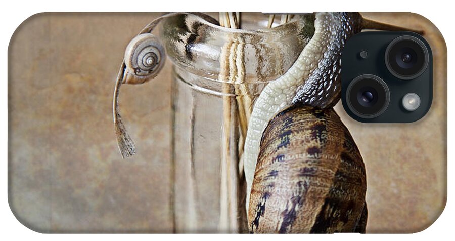 Snail iPhone Case featuring the photograph Snails by Nailia Schwarz