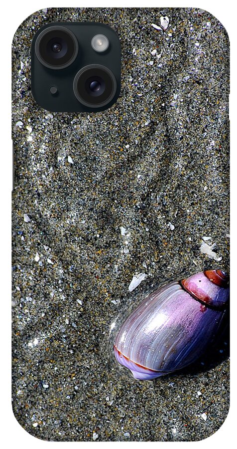 Snail iPhone Case featuring the photograph Snail's Pace by Lisa Phillips