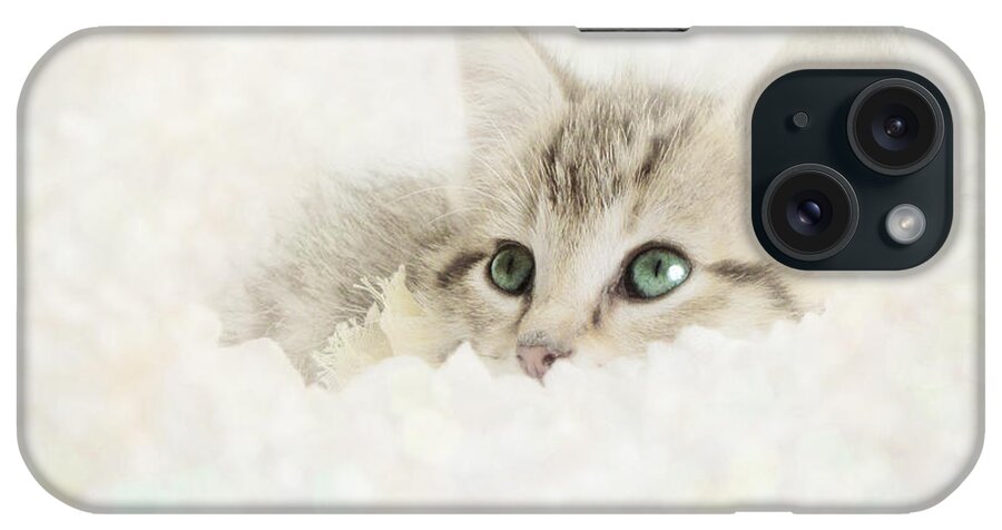 Kitten iPhone Case featuring the photograph Snow Baby by Amy Tyler