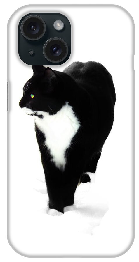 Black And White Cat iPhone Case featuring the photograph Snow Cat Three by Priscilla Batzell Expressionist Art Studio Gallery