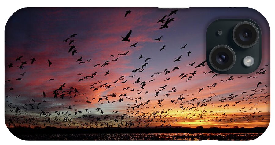 Scenics iPhone Case featuring the photograph Snow Geese At Bosque Del Apache by Pat Gaines