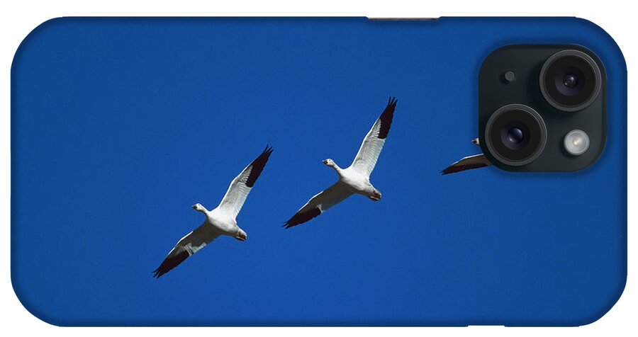 Feb0514 iPhone Case featuring the photograph Snow Geese In Formation New Mexico by Tom Vezo
