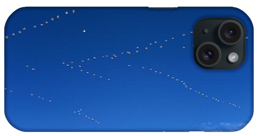 Feb0514 iPhone Case featuring the photograph Snow Goose Flock Migrating Bosque Del by Konrad Wothe