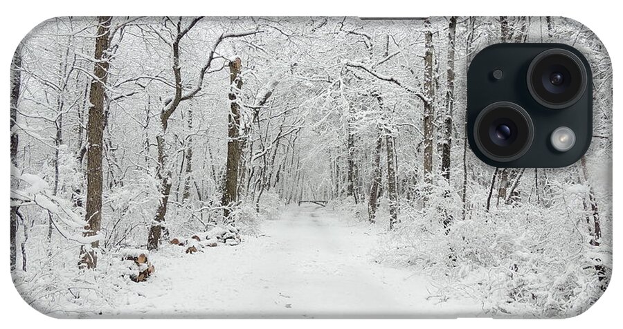 Snow In The Park iPhone Case featuring the photograph Snow in the Park by Raymond Salani III