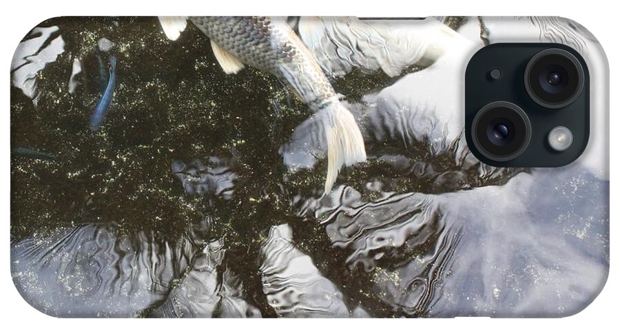 Koi iPhone Case featuring the photograph Snow Koi by Pat Purdy