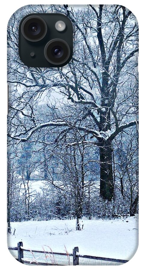 Snow iPhone Case featuring the photograph Snow by Sarah Loft