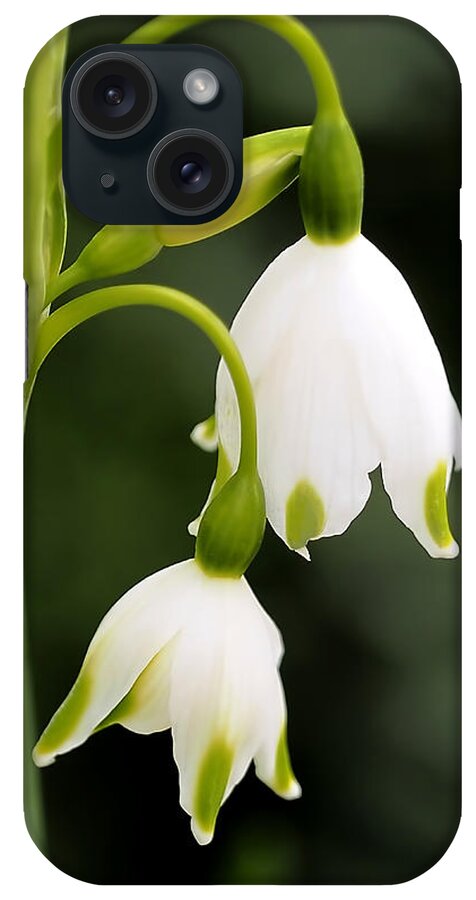 Snowbells iPhone Case featuring the photograph Snowbells in Spring by Rona Black