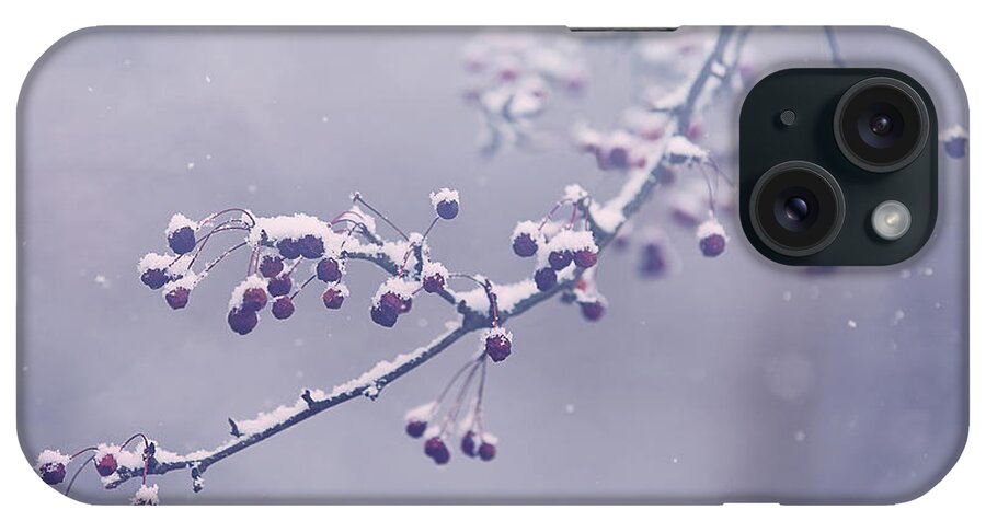 Snow iPhone Case featuring the photograph Snowberries by Carrie Ann Grippo-Pike