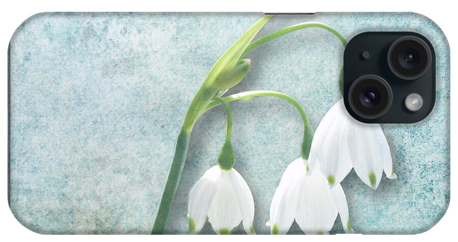 Snowdrop iPhone Case featuring the photograph Snowdrop by Lynn Bolt