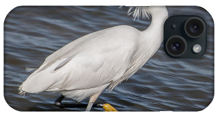 Bird iPhone Case featuring the photograph Snowy Egret by Cathy Kovarik