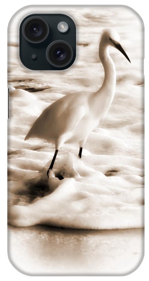 Snowy Egret iPhone Case featuring the photograph Snowy Egret by Christina Ochsner