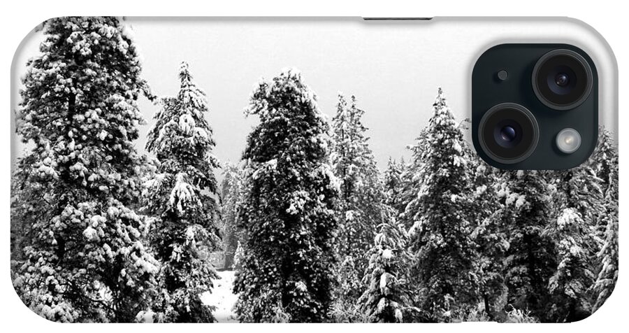 Snowy Morn iPhone Case featuring the photograph Snowy Morn by Will Borden