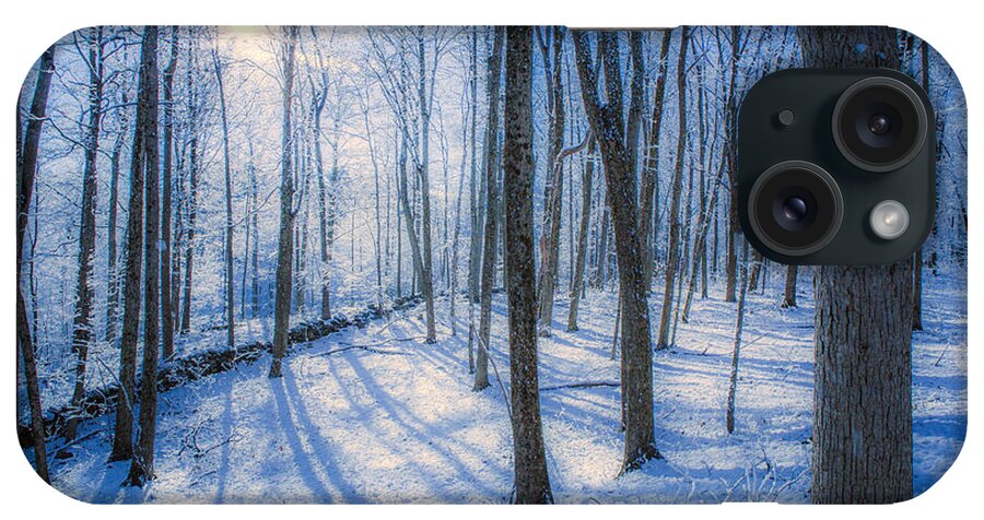 Snow iPhone Case featuring the photograph Snowy New England Forest by Diane Diederich