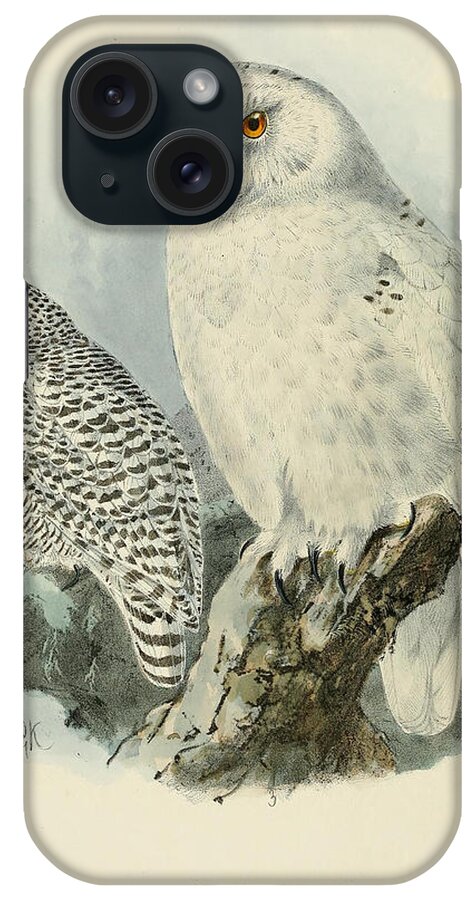 Snowy Owl iPhone Case featuring the painting Snowy Owl 2 by Dreyer Wildlife Print Collections 