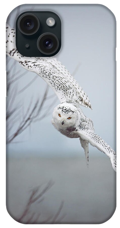 #faatoppicks iPhone Case featuring the photograph Snowy Owl In Flight by Carrie Ann Grippo-Pike