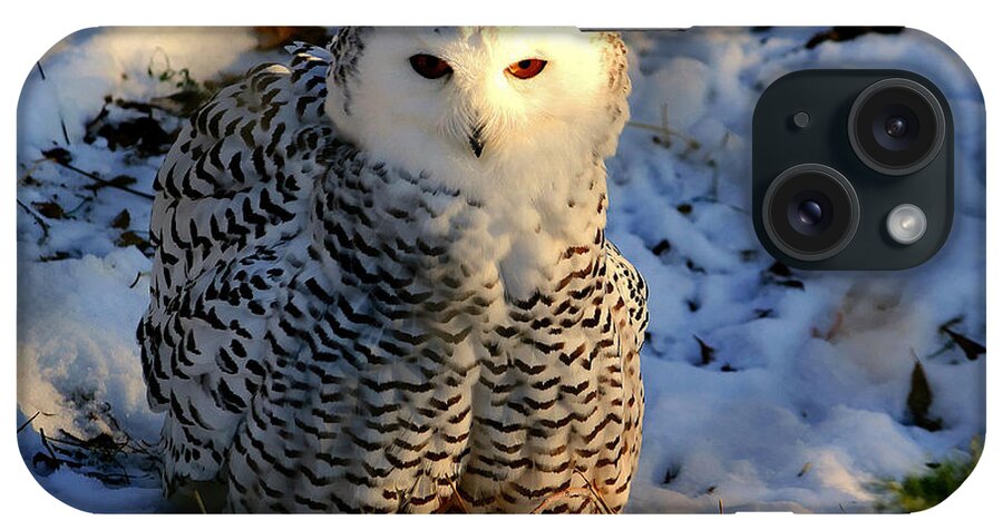 Owl iPhone Case featuring the photograph Snowy Owl by Larry Trupp