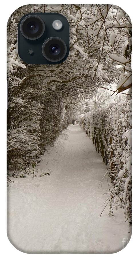 Snow iPhone Case featuring the photograph Snowy Path by Vicki Spindler
