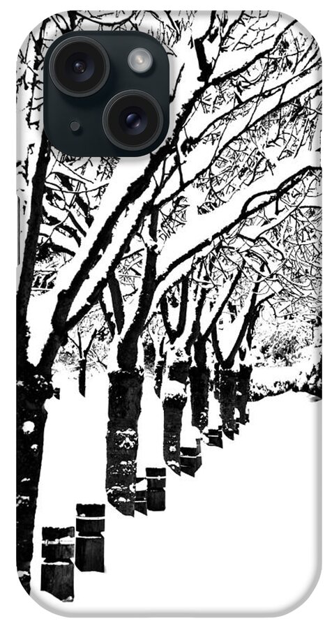 Vancouver iPhone Case featuring the photograph Snowy Walk by Alicia Kent