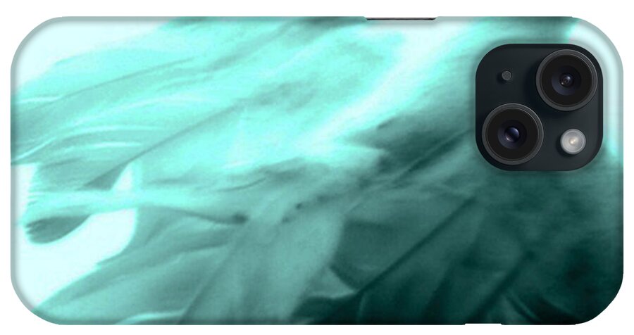 Digital Photography iPhone Case featuring the photograph Soar by Linda N La Rose