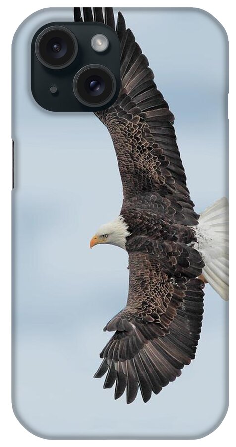 Bald Eagle iPhone Case featuring the photograph Soaring High by Daniel Behm