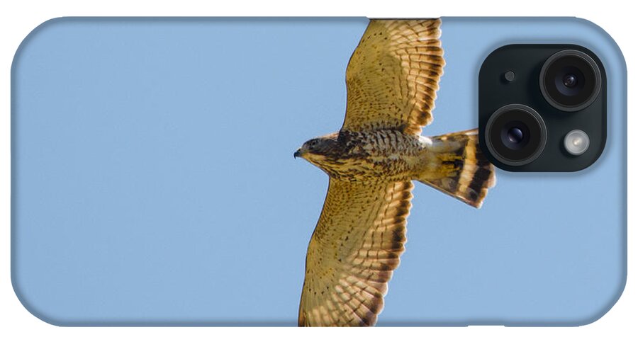 Hawk iPhone Case featuring the photograph Soaring by Parker Cunningham