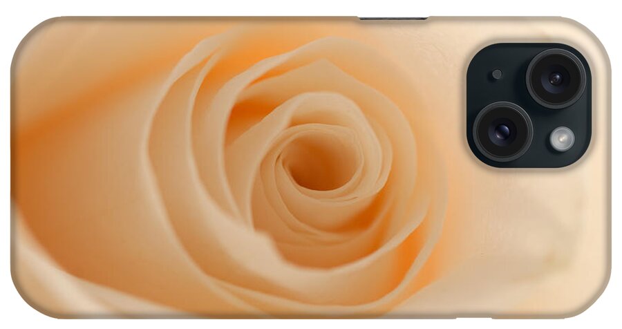 Rose iPhone Case featuring the photograph Soft and Creamy Rose by Sarah Schroder