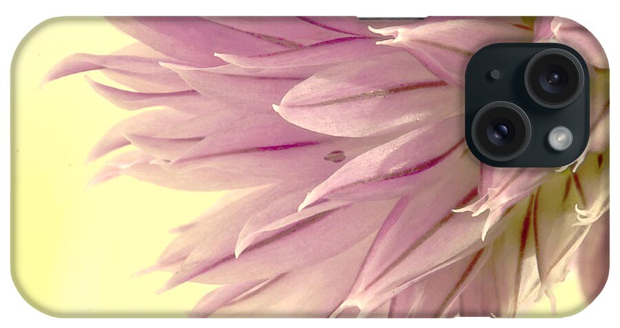 Chive Macro iPhone Case featuring the photograph Soft And To The Point by Sandra Foster
