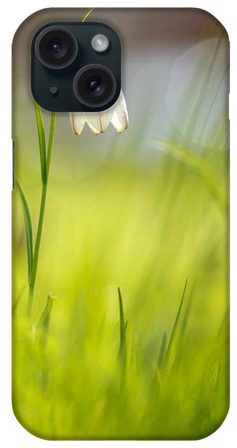 April iPhone Case featuring the photograph Soft Awakenings - White Chess Flower by Roeselien Raimond