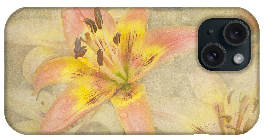 Flowers iPhone Case featuring the photograph Soft Memories by Marilyn Cornwell