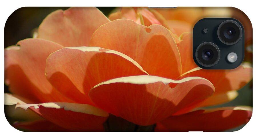 Flower iPhone Case featuring the photograph Soft Orange Flower by Matt Quest