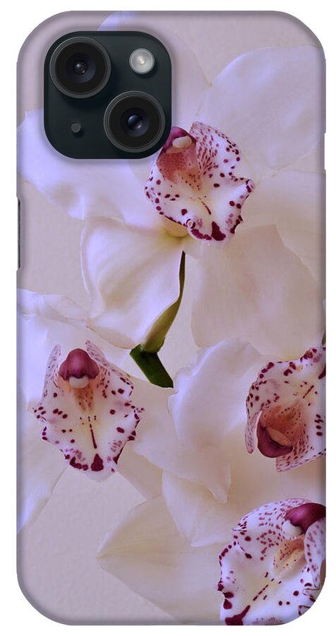 Orchids iPhone Case featuring the photograph Soft Orchid Dream by Terence Davis