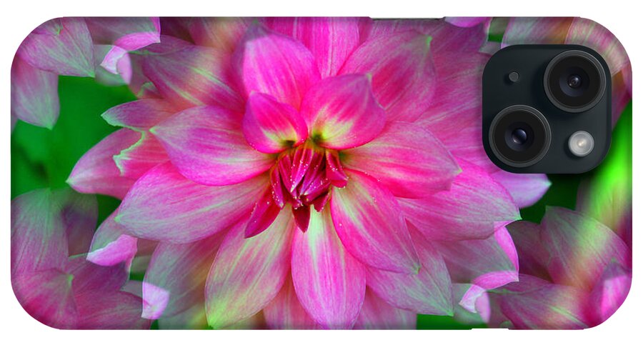 Dahlia iPhone Case featuring the photograph Soft Pink Endless Dahlia by Judy Palkimas
