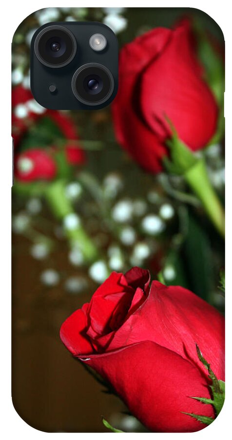 Roses iPhone Case featuring the photograph Soft Roses by Karen Nicholson