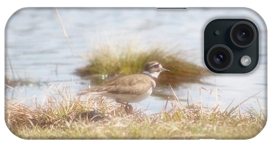 Soft Touch Water Bird iPhone Case featuring the photograph Soft Touch Water Bird by Debra   Vatalaro