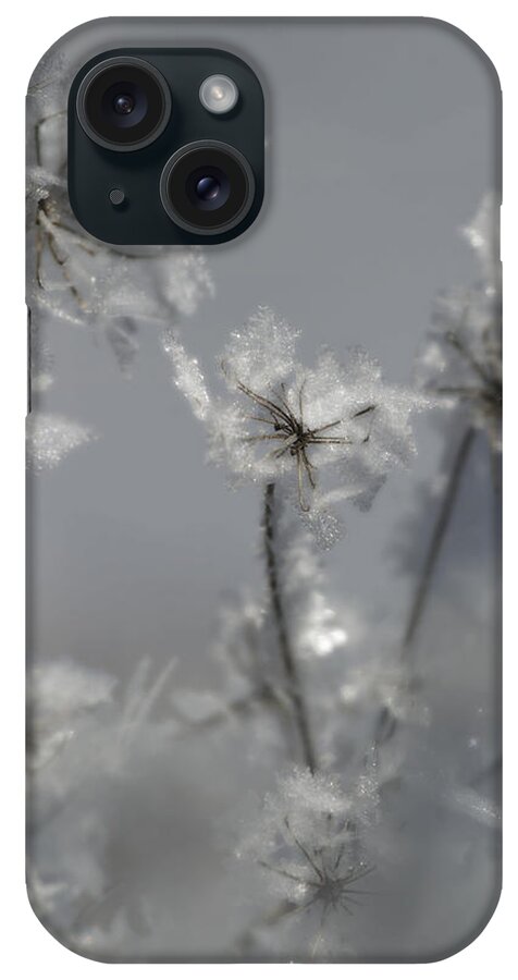 Nina Stavlund iPhone Case featuring the photograph Soft Winter Whisper.. by Nina Stavlund