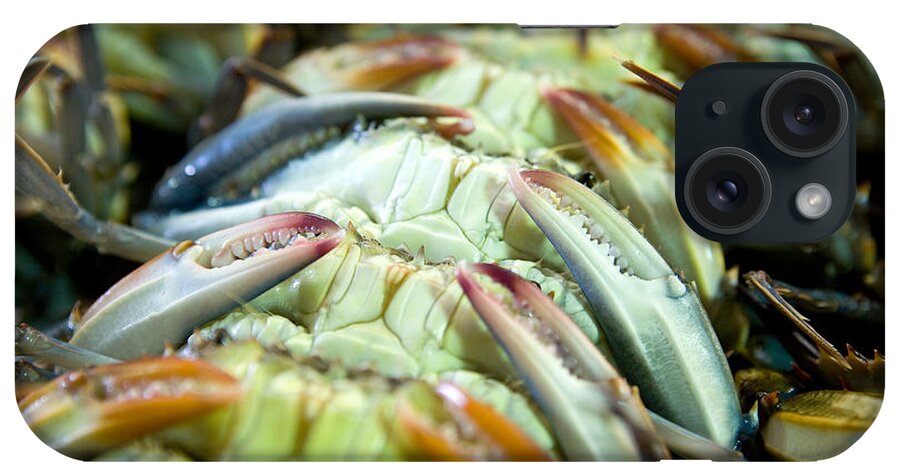 Blue Crab iPhone Case featuring the photograph Softshell Blue Crabs on their backs by Iris Richardson