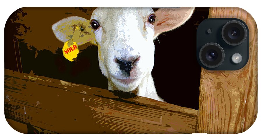 Lamb iPhone Case featuring the photograph Sold by John Lautermilch