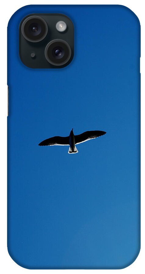 Gull iPhone Case featuring the photograph Solo Flight by David Weeks