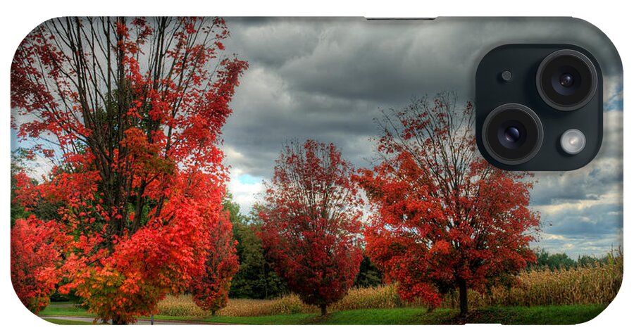 Trees iPhone Case featuring the photograph Some fall Colors by Mark Dodd