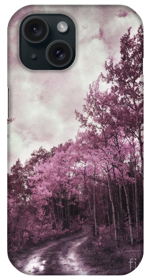 Path iPhone Case featuring the photograph Sometimes My World Turns Pink by Priska Wettstein