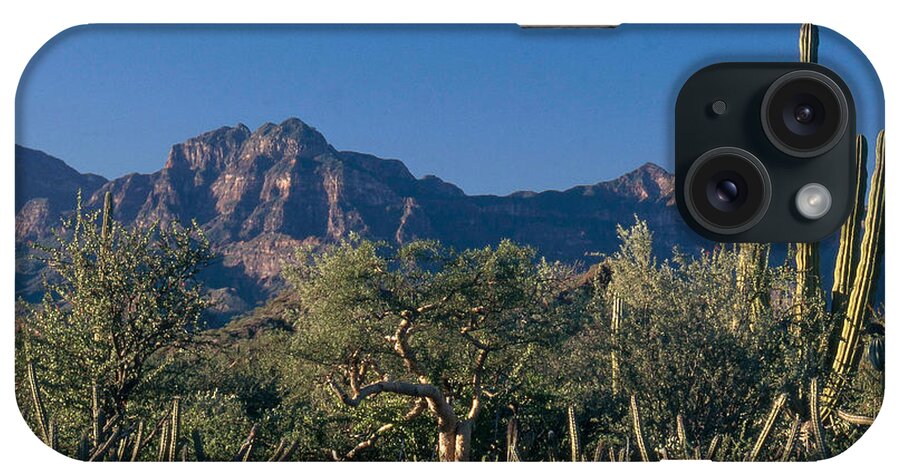 Sierra De La Giganta iPhone Case featuring the photograph Sonoran Desert, Mexico by Mark Newman