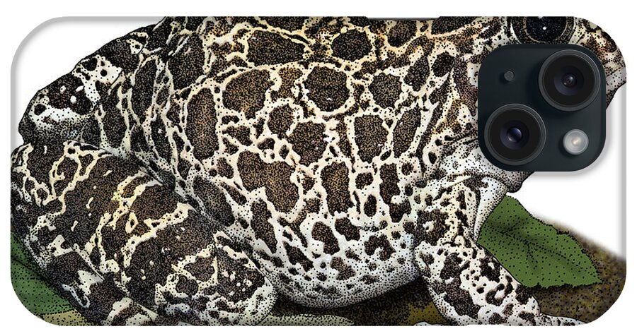 Southern Crawfish Frog iPhone Case featuring the photograph Southern Crawfish Frog, Illustration by Roger Hall