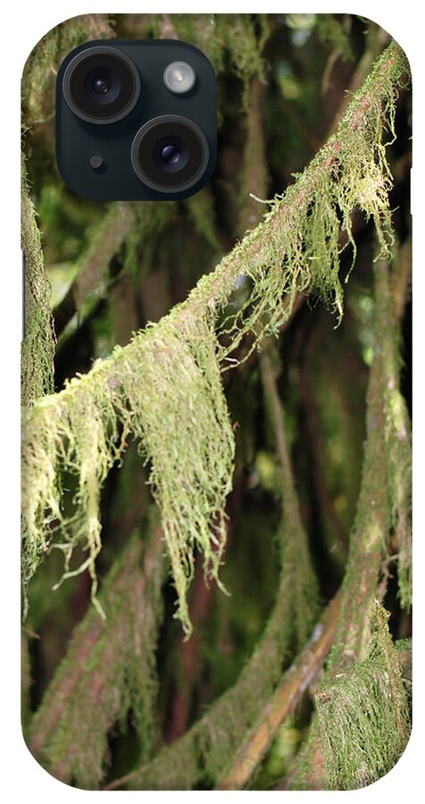 Spanish Moss iPhone Case featuring the photograph Spanish Moss In Olympic National Park by Connie Fox