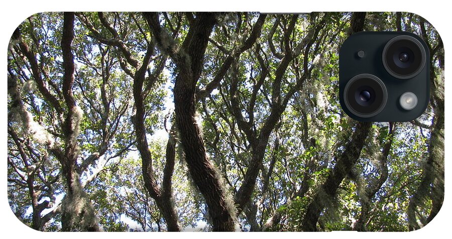 Landscape iPhone Case featuring the photograph Spanish Moss Oak by Ellen Meakin