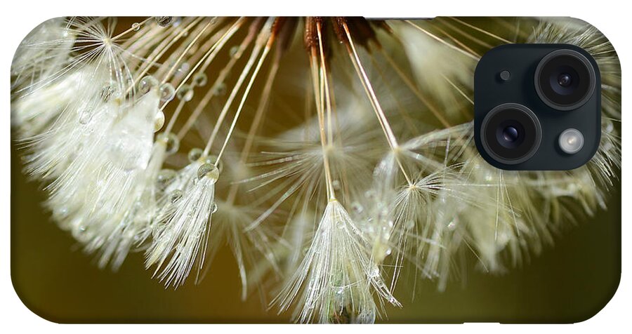 Dandelion iPhone Case featuring the photograph Sparkle 2 by Fraida Gutovich