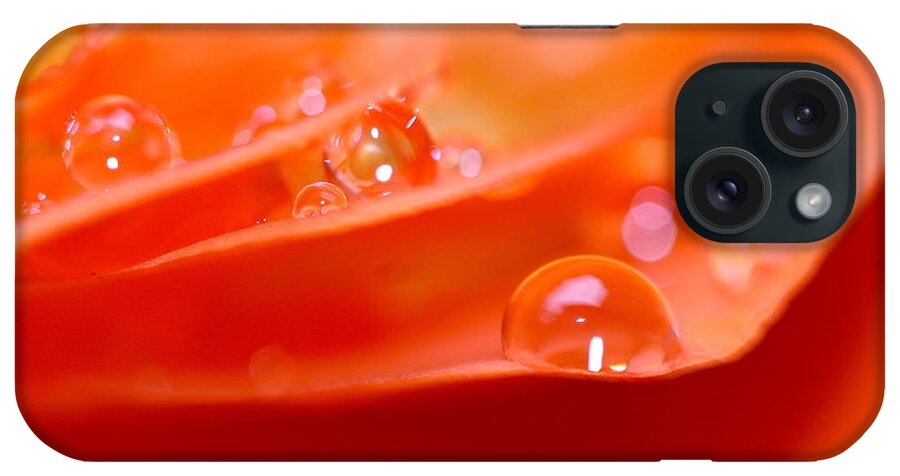 Photograph iPhone Case featuring the photograph Sparkle by Tracy Male