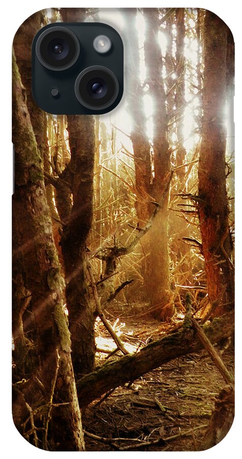 Spellbound iPhone Case featuring the photograph Spellbound by Micki Findlay