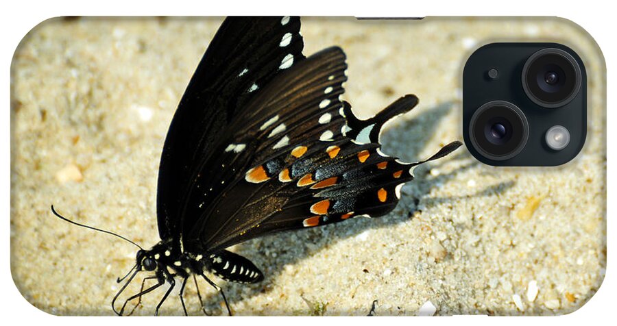 Papilio Troilus iPhone Case featuring the photograph Spicebush Swallowtail Papilio troilus by Rebecca Sherman