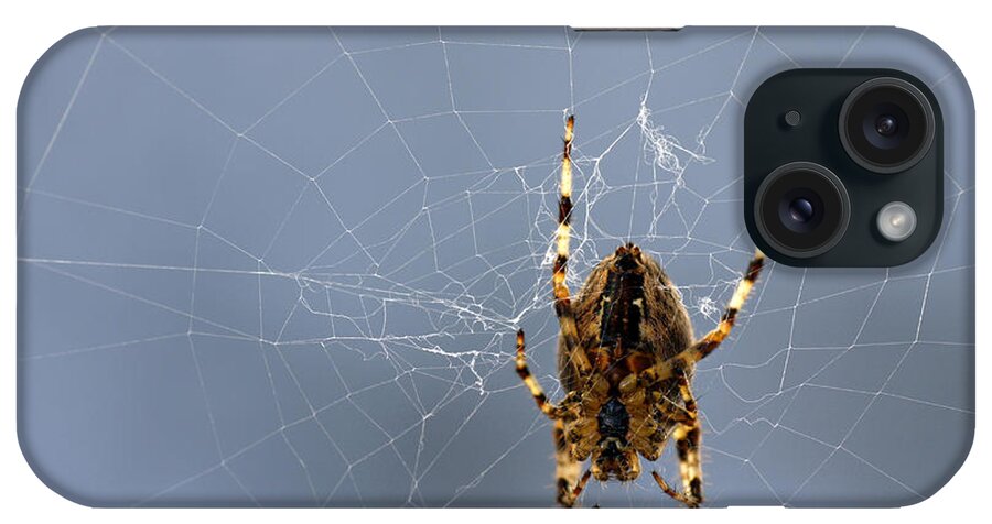 Black iPhone Case featuring the digital art Spider by Steve Ball